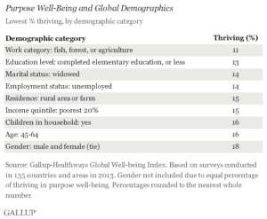 Purpose Well-Being and Global Demographics