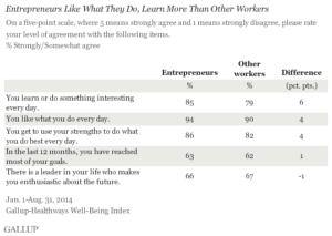 Entrepreneurs Like What They Do, Learn More Than Other Workers